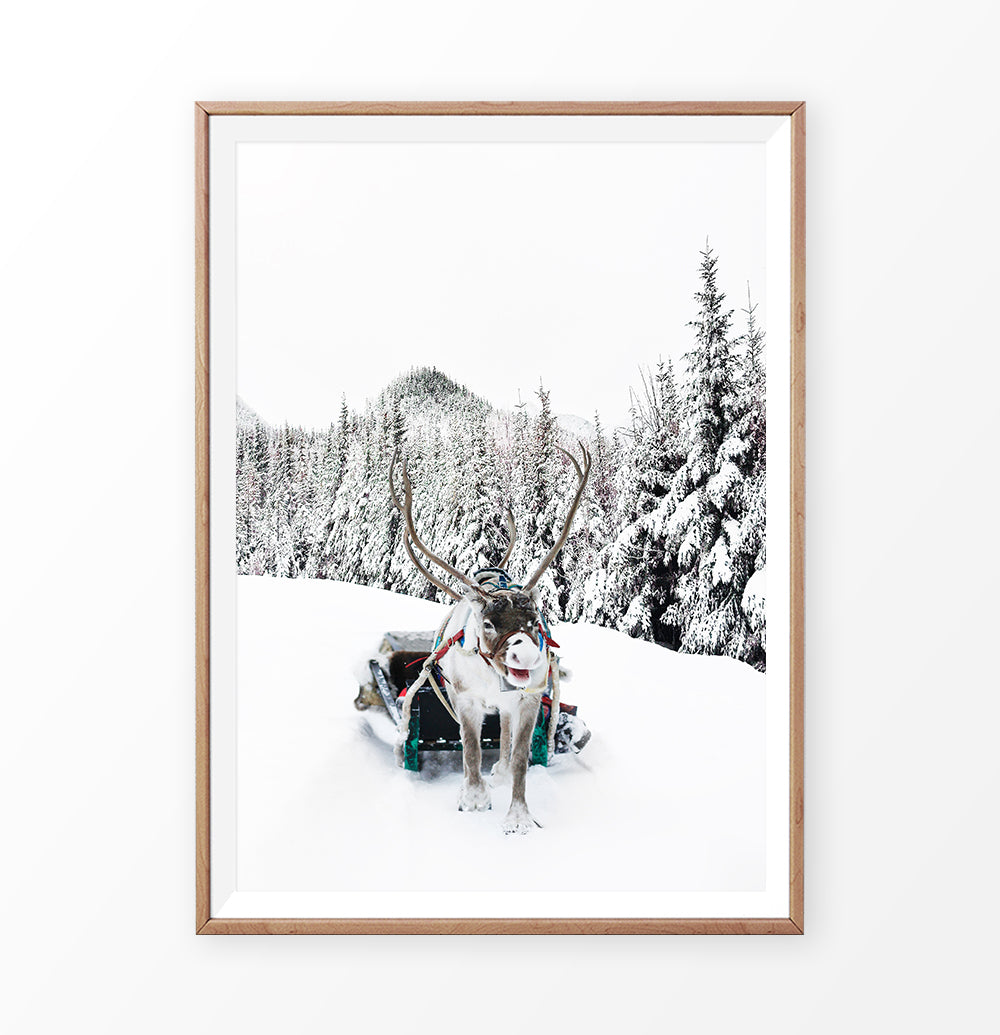 Christmas Sleigh Reindeer In Snowy Forest Wall Decor