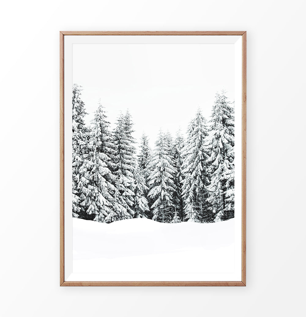 Wood-Framed Snow-Covered Spruce Winter Forest Wall Art