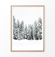 Load image into Gallery viewer, Wood-Framed Snow-Covered Spruce Winter Forest Wall Art