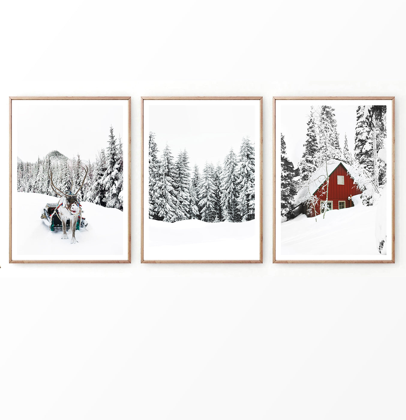 Reindeer In Snowy Pine Forest Set of 3 Christmas Photos