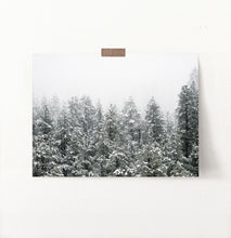 Load image into Gallery viewer, Snowy Winter Spruce Woods Poster