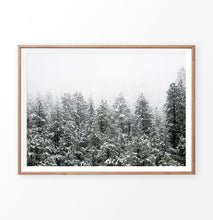 Load image into Gallery viewer, Wooden-framed Snowy Winter Spruce Woods Poster