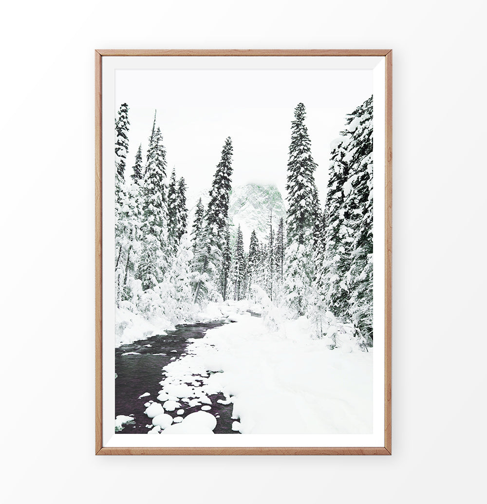 Beautiful Winter Forest River Wall Art