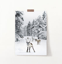 Load image into Gallery viewer, Reindeers in snow photography