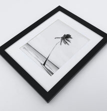 Load image into Gallery viewer, Santa Monica Ferris Wheel, Beach Palms 3 Framed Wall Art