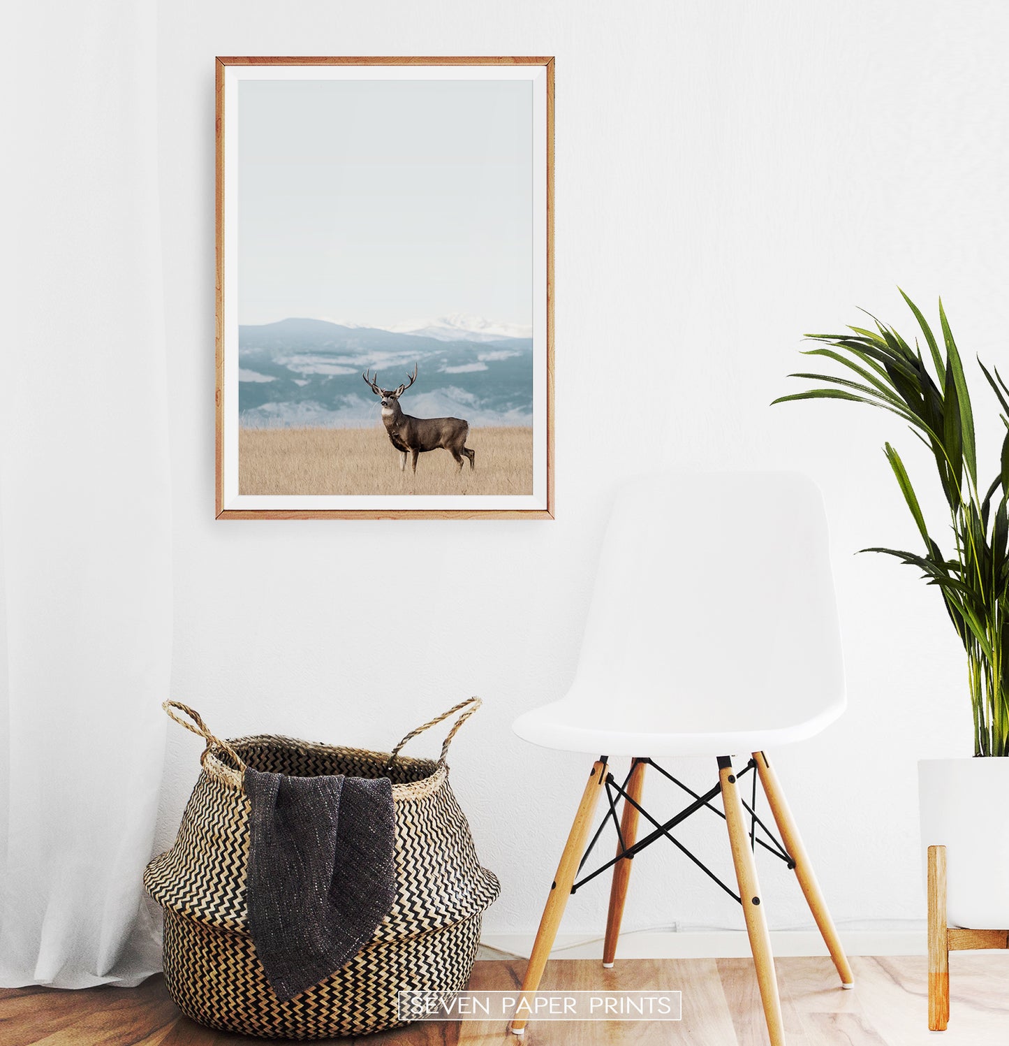 Brown Deer Nature Wall Art