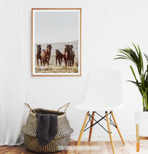 Load image into Gallery viewer, Brown Wild Horses Print