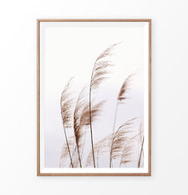 Load image into Gallery viewer, Phragmites australis print, common reed wall art