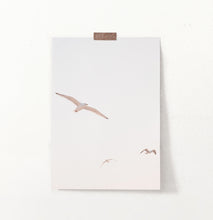 Load image into Gallery viewer, Flying Seagull Wall Art