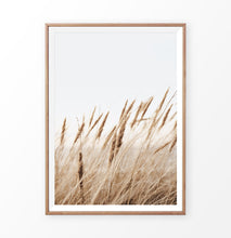 Load image into Gallery viewer, Common reed single print