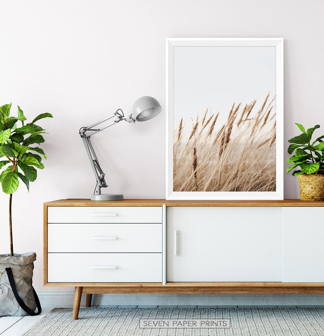 Brown Common Reed Poster