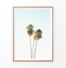 Load image into Gallery viewer, High palm trees photo, coastal palm art