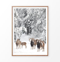 Load image into Gallery viewer, Wooden-framed photo print
