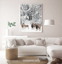Load image into Gallery viewer, White-framed in the living room with white sofa
