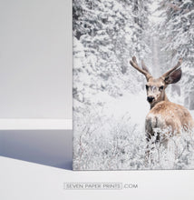 Load image into Gallery viewer, Corner of a canvas stretched on a wooden frame