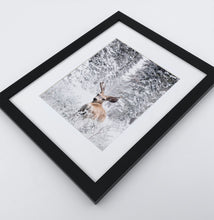 Load image into Gallery viewer, Winter Forest Deer framed wall art