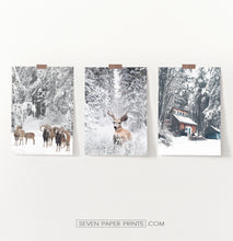 Load image into Gallery viewer, Lovely 3-Piece Set Of Winter Forestside Posters