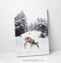 Load image into Gallery viewer, Deer on a snowy glade canvas print