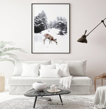 Load image into Gallery viewer, Black-framed with white sofa