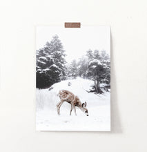 Load image into Gallery viewer, Fawn Walking On A Snowy Forest Spacing Wall Decor