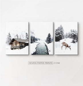 Icy River, Coutry House And Deer 3 Piece Photo Art Canvases