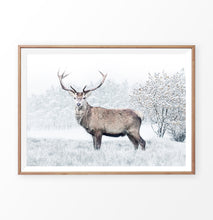 Load image into Gallery viewer, Gorgeous Deer On White Snowy Spacing Wall Art
