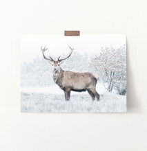 Load image into Gallery viewer, Gorgeous Deer On White Snowy Spacing Wall Art