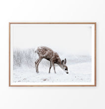Load image into Gallery viewer, Wooden-framed photo print