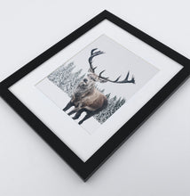 Load image into Gallery viewer, Big brutal reindeer photo print in a black frame