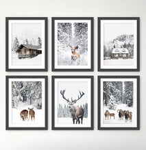 Load image into Gallery viewer, Snowy House, Deer, Cabin, Reindeers and Sheep 6-Piece Framed Wall Art Set