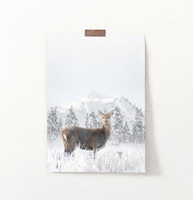 Load image into Gallery viewer, Lovely Deer In Winter Mountains With Spruces Wall Art