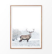 Load image into Gallery viewer, Wooden-framed photo print