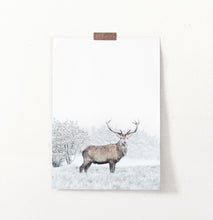 Load image into Gallery viewer, Great Alpha Male Deer On Snowy Background Wall Art