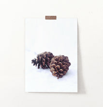 Load image into Gallery viewer, Pine Cones On Snow Macro Photo Wall Art