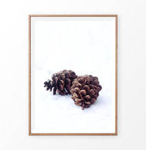 Load image into Gallery viewer, Pine Cones On Snow Macro Photo Wall Art