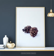Load image into Gallery viewer, Pine Cones On Snow Macro Photo Wall Art