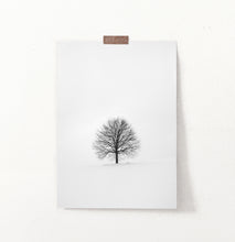 Load image into Gallery viewer, Tree On Snowy Field Black And White Photo Art