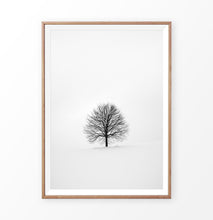 Load image into Gallery viewer, Tree On Snowy Field Black And White Photo Art