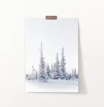 Load image into Gallery viewer, Small Grove Of Snowy Winter Spruces Wall Art