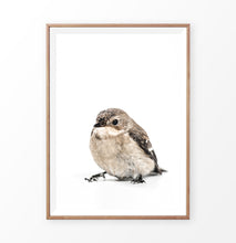Load image into Gallery viewer, Wooden-framed photo print