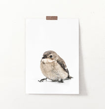 Load image into Gallery viewer, Sparrow Sitting On White Background Wall Art