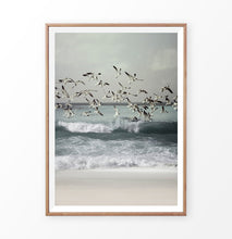 Load image into Gallery viewer, Seagulls Beach Photo High Waves