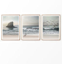 Load image into Gallery viewer, Sea Shore Photography Set of 3 Prints