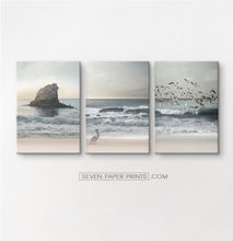 Load image into Gallery viewer, Three stretched canvases of ocean shore with cliffs, seagulls and a pelican