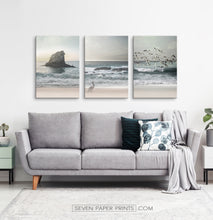 Load image into Gallery viewer, Three stretched canvases of ocean shore with cliffs, seagulls and a pelican