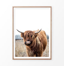 Load image into Gallery viewer, Highland Cow Print