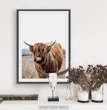 Load image into Gallery viewer, Highland Cow Photography, Bull Farmhouse Decor