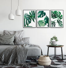 Load image into Gallery viewer, Monstera Green Leaves Set of 3 Deliciosa Prints
