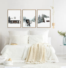 Load image into Gallery viewer, Moose Winter Forest Set of 3 Digital Prints