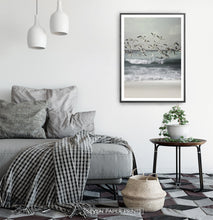 Load image into Gallery viewer, Bird Art Set of 3 Coastal Photography